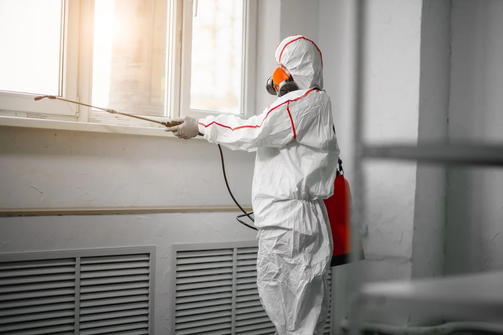 Professional mold remediation services in West New York, NJ